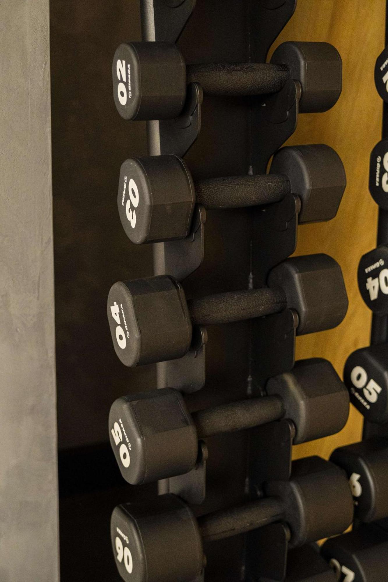 Radisson Blu Aurum Hotel, Braşov Exteriör bild Dumbbells